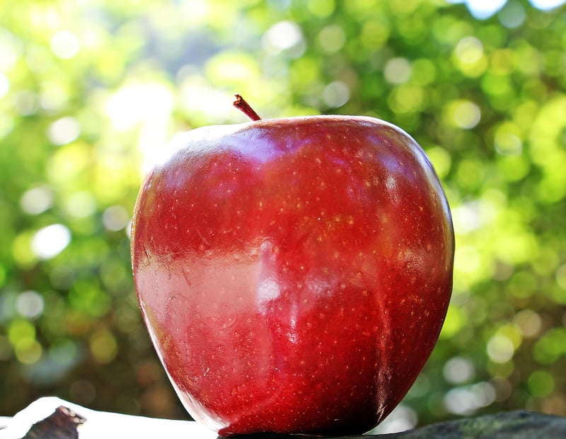 Apple Snack